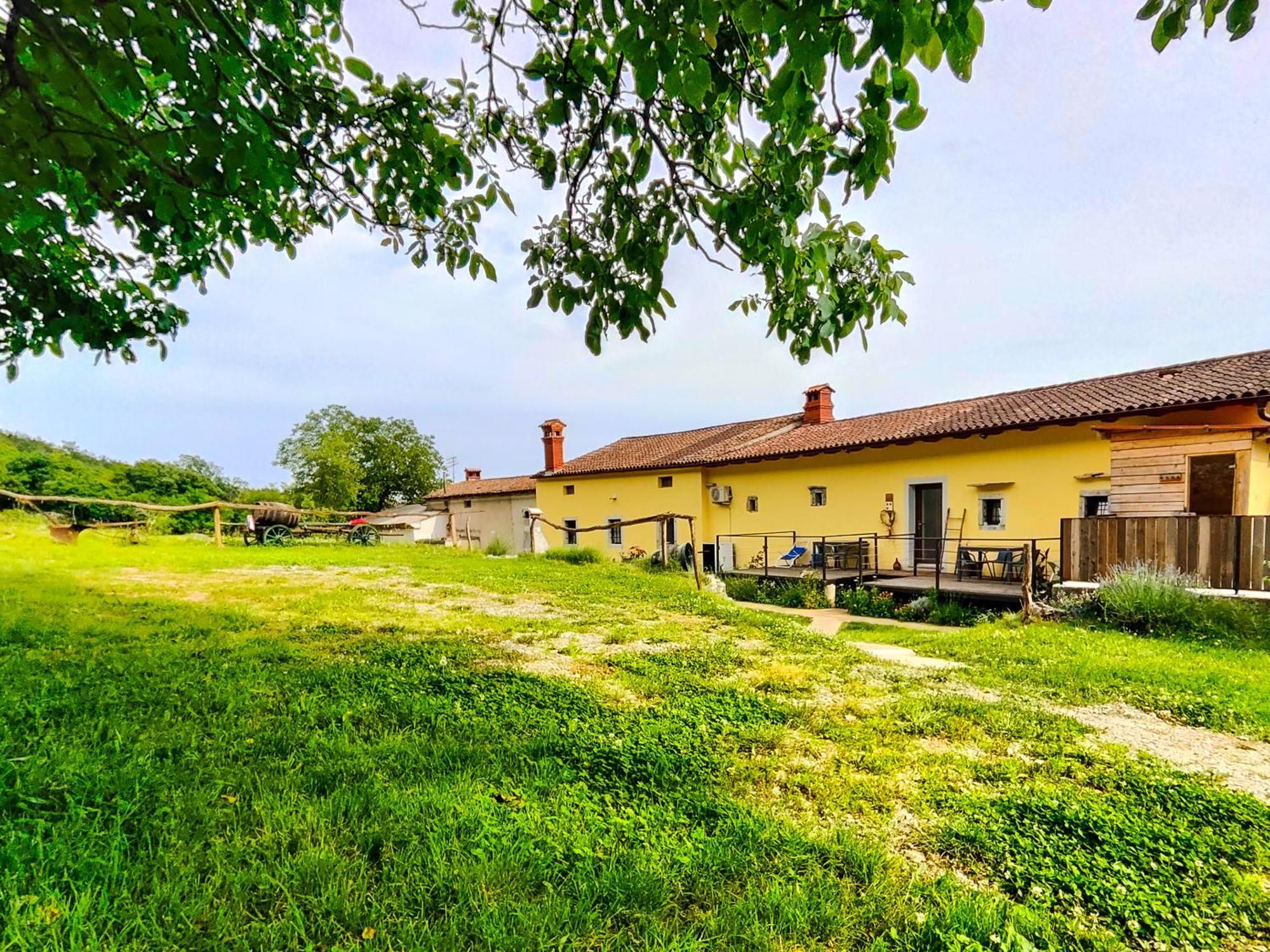 Homestead Zavadlal - Domacija Zavadlal Komen Buitenkant foto
